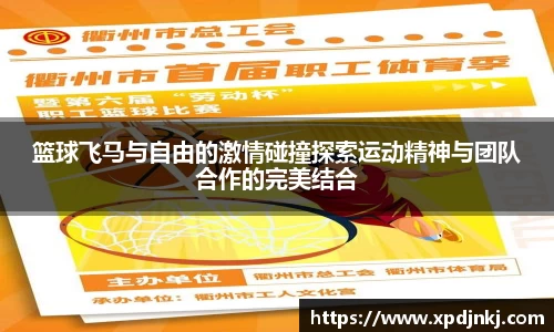 篮球飞马与自由的激情碰撞探索运动精神与团队合作的完美结合
